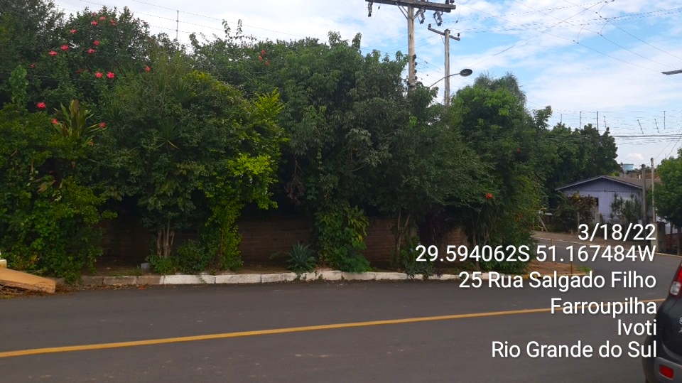 Arvoretas muito próximas entre si